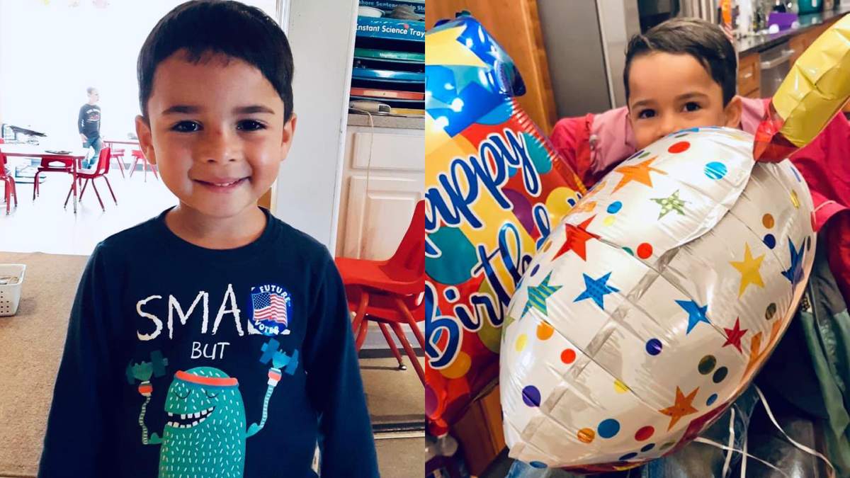 Необычная дружба: как 4-летний мальчик привел из леса олененка Необычная дружба: как 4-летний мальчик привел из леса олененка