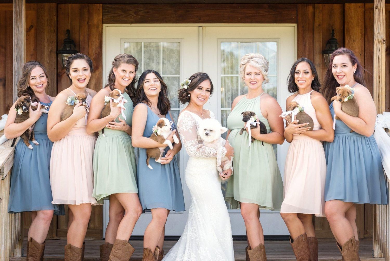 Невеста раздала подружкам бездомных щенков вместо букетов: милые фото