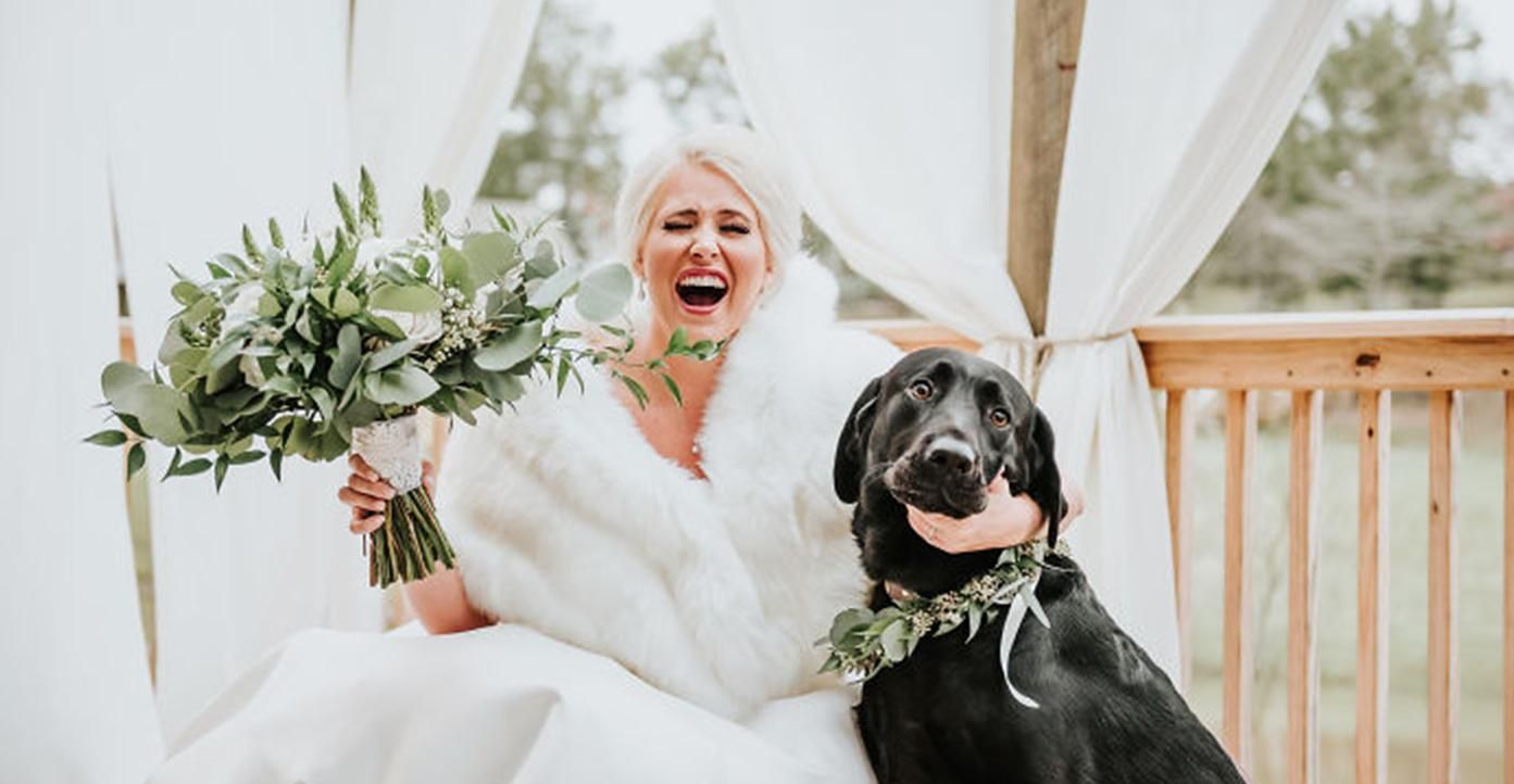 Невеста устроила фотосессию с лабрадором на свадьбе: милые фото