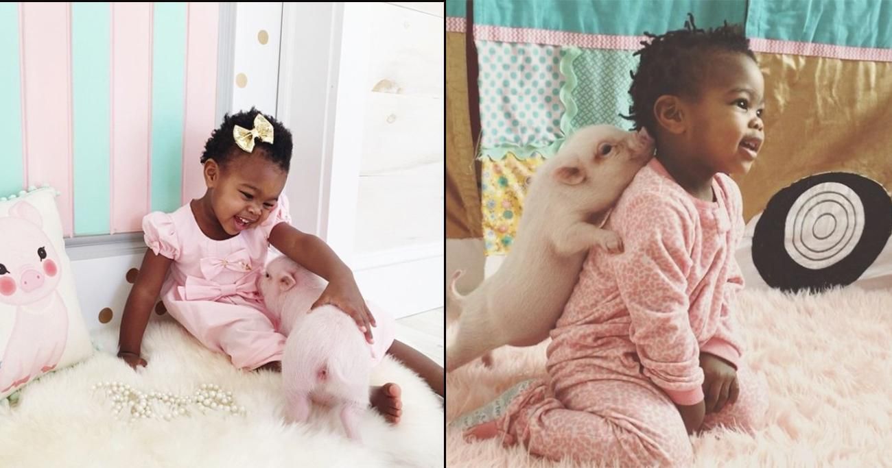 Двухлетняя девочка подружилась с маленьким поросенком: волшебные фото Двухлетняя девочка подружилась с маленьким поросенком: волшебные фото