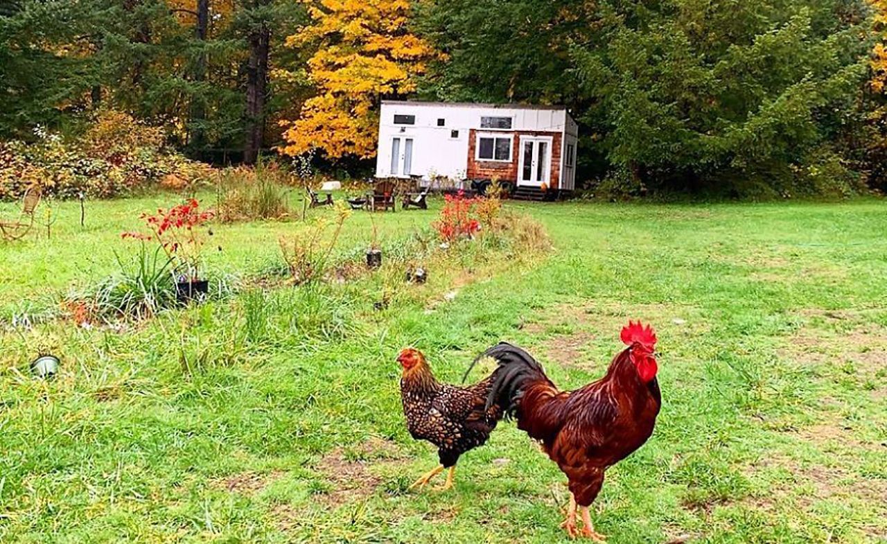 Ви захочете там жити: сім'я побудувала розкішний мініатюрний будинок на фермі – фото