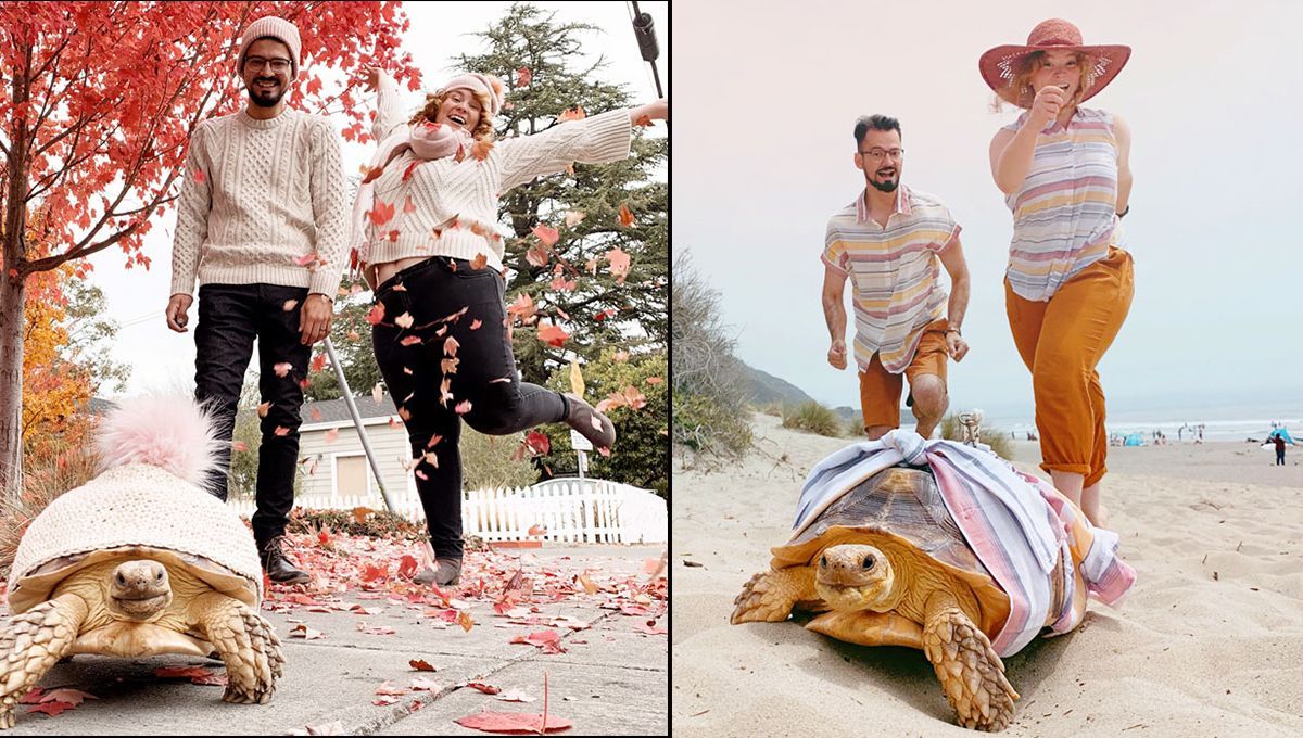 Пара из США комбинирует свои наряды с черепахой: очаровательные фото не оставят вас равнодушными