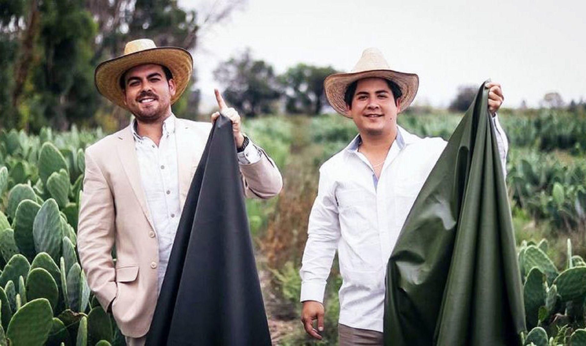 Друзья из Мексики производят экокожу из кактуса