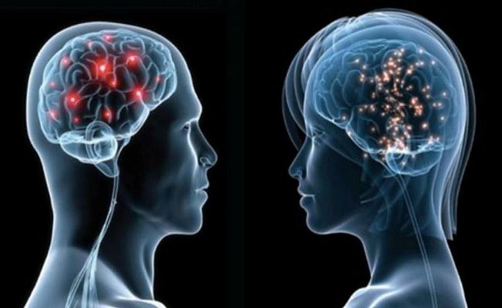 Мужчинам чаще приписывают гениальность, чем женщинам: исследование Мужчинам чаще приписывают гениальность, чем женщинам: исследование