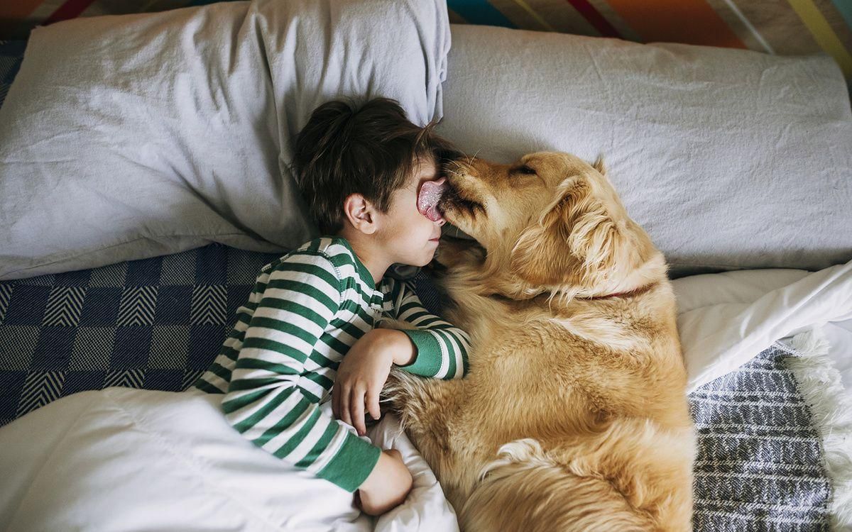 Собаки та діти в домі: як їм подружитися