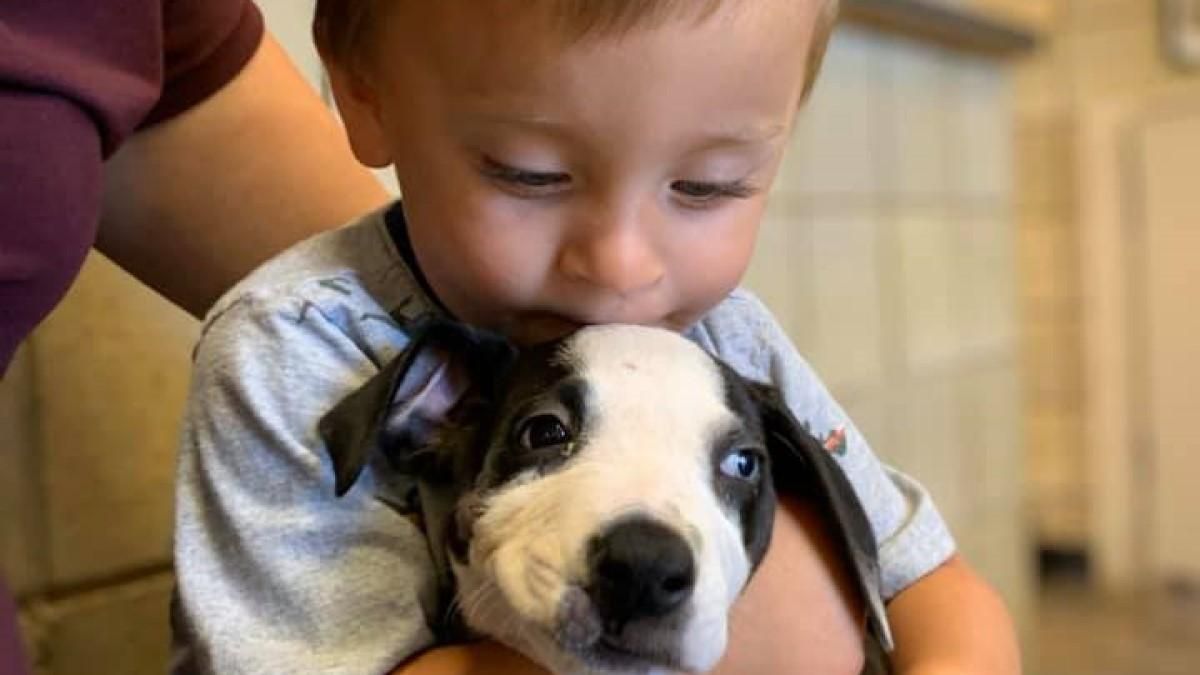 Мальчику с патологией подарили собаку с таким же диагнозом: трогательные фото первой встречи