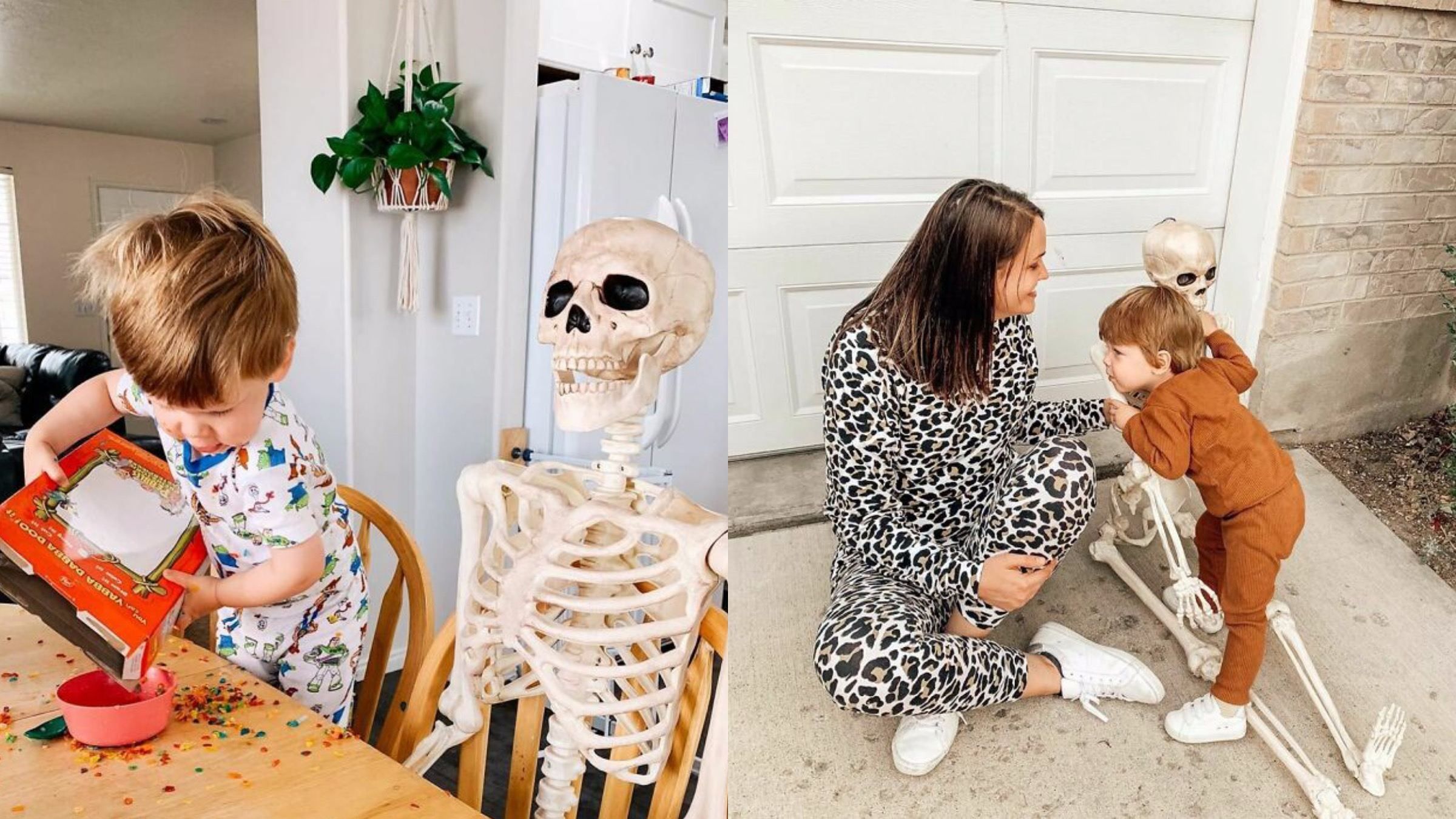 Дружба хлопчика зі скелетом: фото та відео Дружба хлопчика зі скелетом: фото та відео