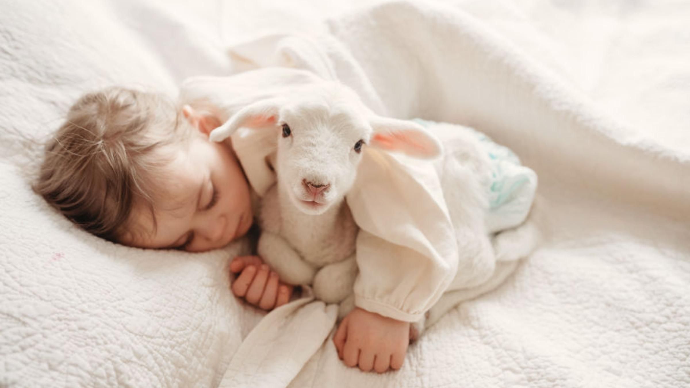 Дружба детей и животных: впечатляющие фото Дружба детей и животных: впечатляющие фото