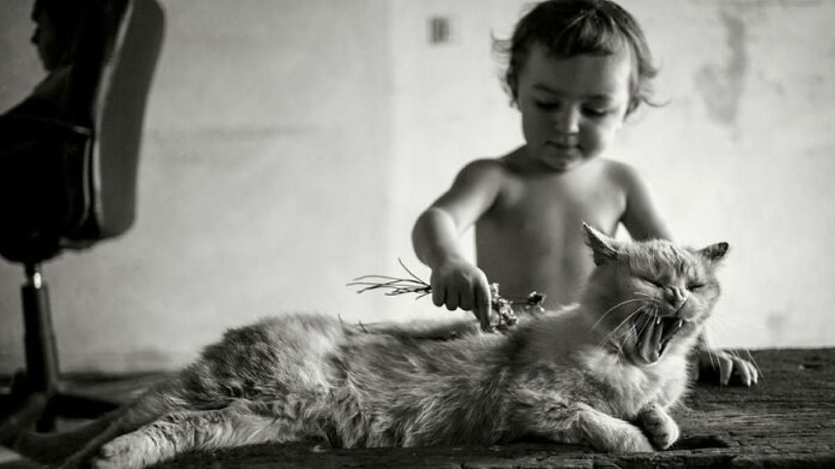 Батько 6 малюків показує, що таке справжнє дитинство: щирі фото Батько 6 малюків показує, що таке справжнє дитинство: щирі фото