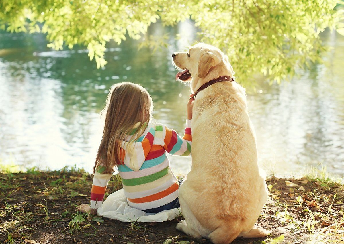 Домашний любимец в семье: что о животных должны знать и понимать дети