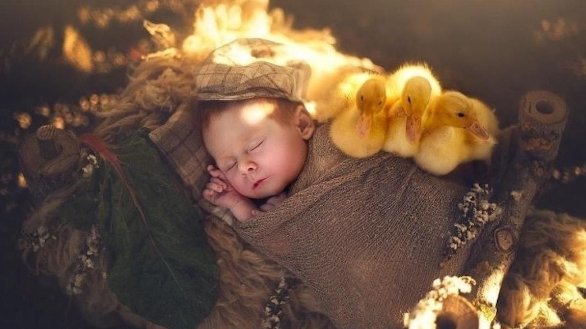 Чарівна зйомка новонароджених дітей з тваринами: фото