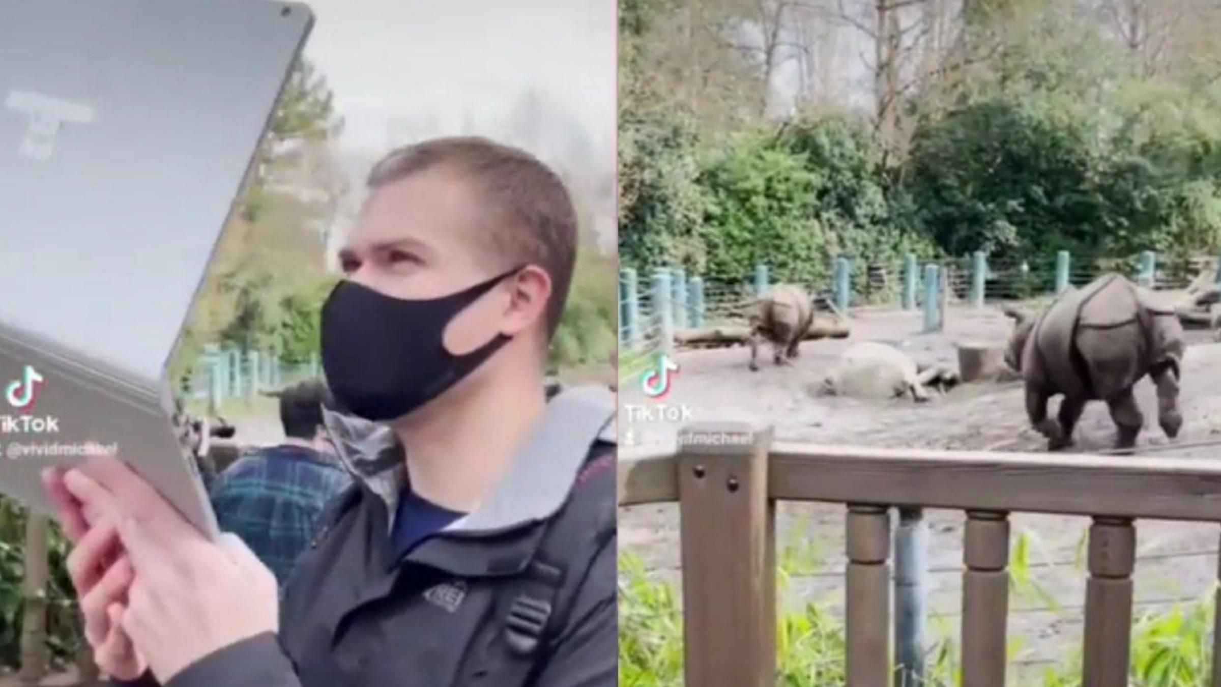 Вихователь влаштував дітям вражаючу онлайн-екскурсію зоопарком: відео