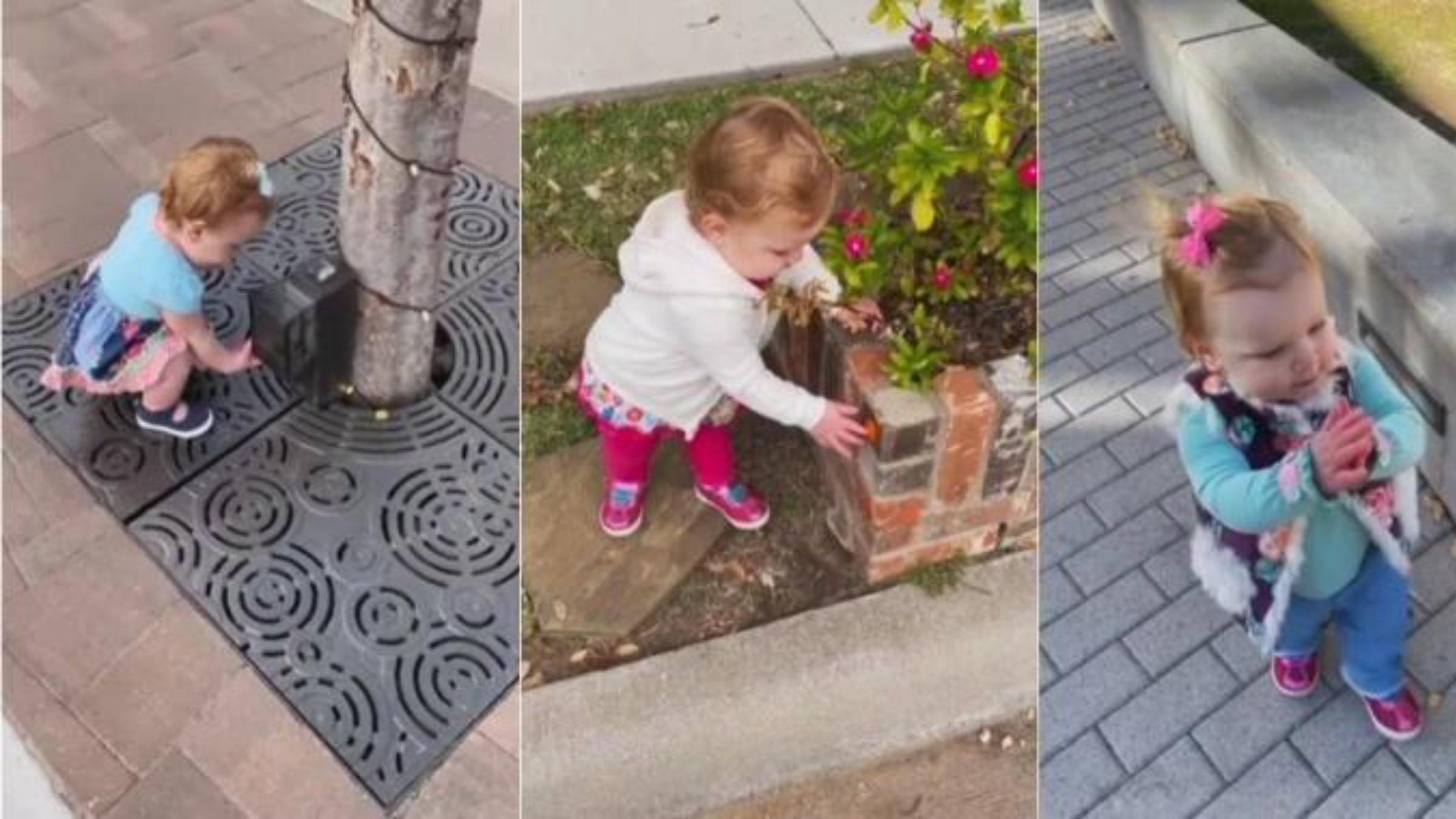 1-річна дівчинка у всьому шукає антисептики: відео 1-річна дівчинка у всьому шукає антисептики: відео