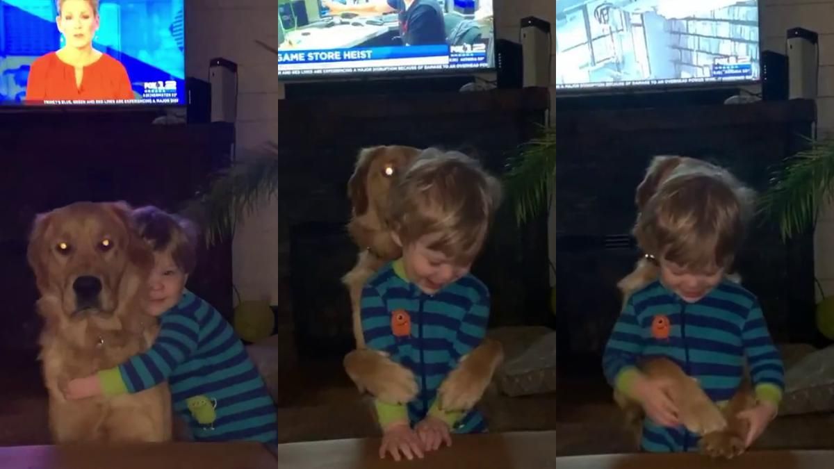 Він завжди обіймає у відповідь: мама опублікувала відео сина та пса Він завжди обіймає у відповідь: мама опублікувала відео сина та пса