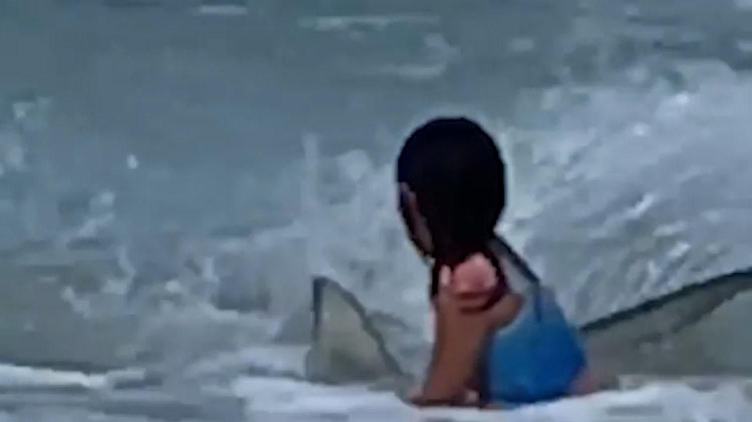 Зустріч 6-річної дівчинки з акулою: яке відео випадково зняла мама