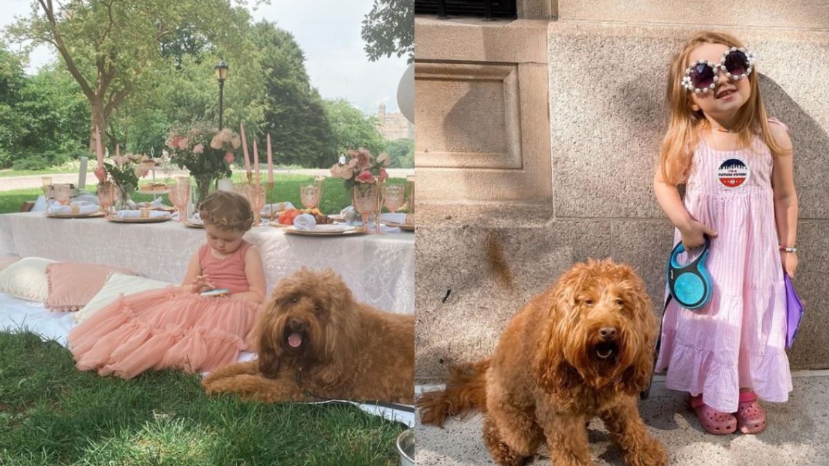 Батьки дізналися, хто заспокоював вночі заплакану доньку: відео Батьки дізналися, хто заспокоював вночі заплакану доньку: відео