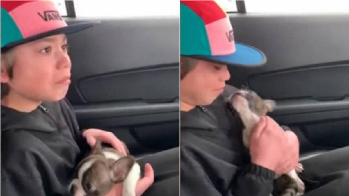 Реакция мальчика на подарок от отца, который умер от рака: видео Реакция мальчика на подарок от отца, который умер от рака: видео