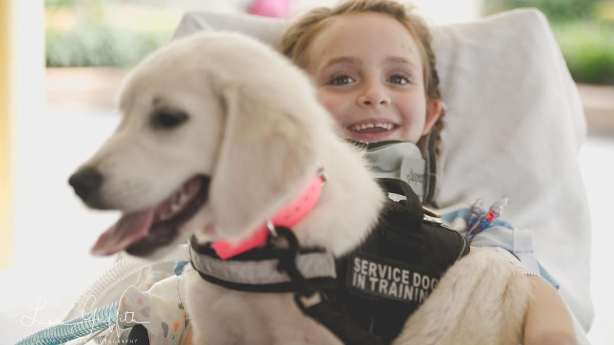 Мемфис Роуз парализовало после аварии: как ей помогает щенок