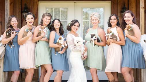 Невеста раздала подружкам бездомных щенков вместо букетов: милые фото